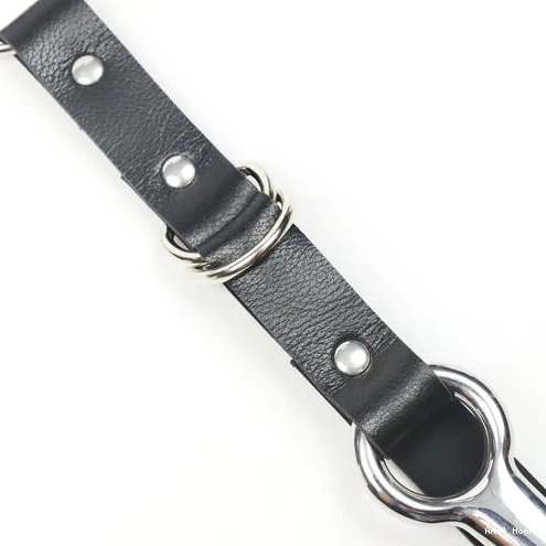 with Collar and Leash Anal Kinky EverydayUse Hook 5853 0529